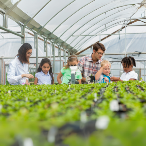 Educational farm experience
